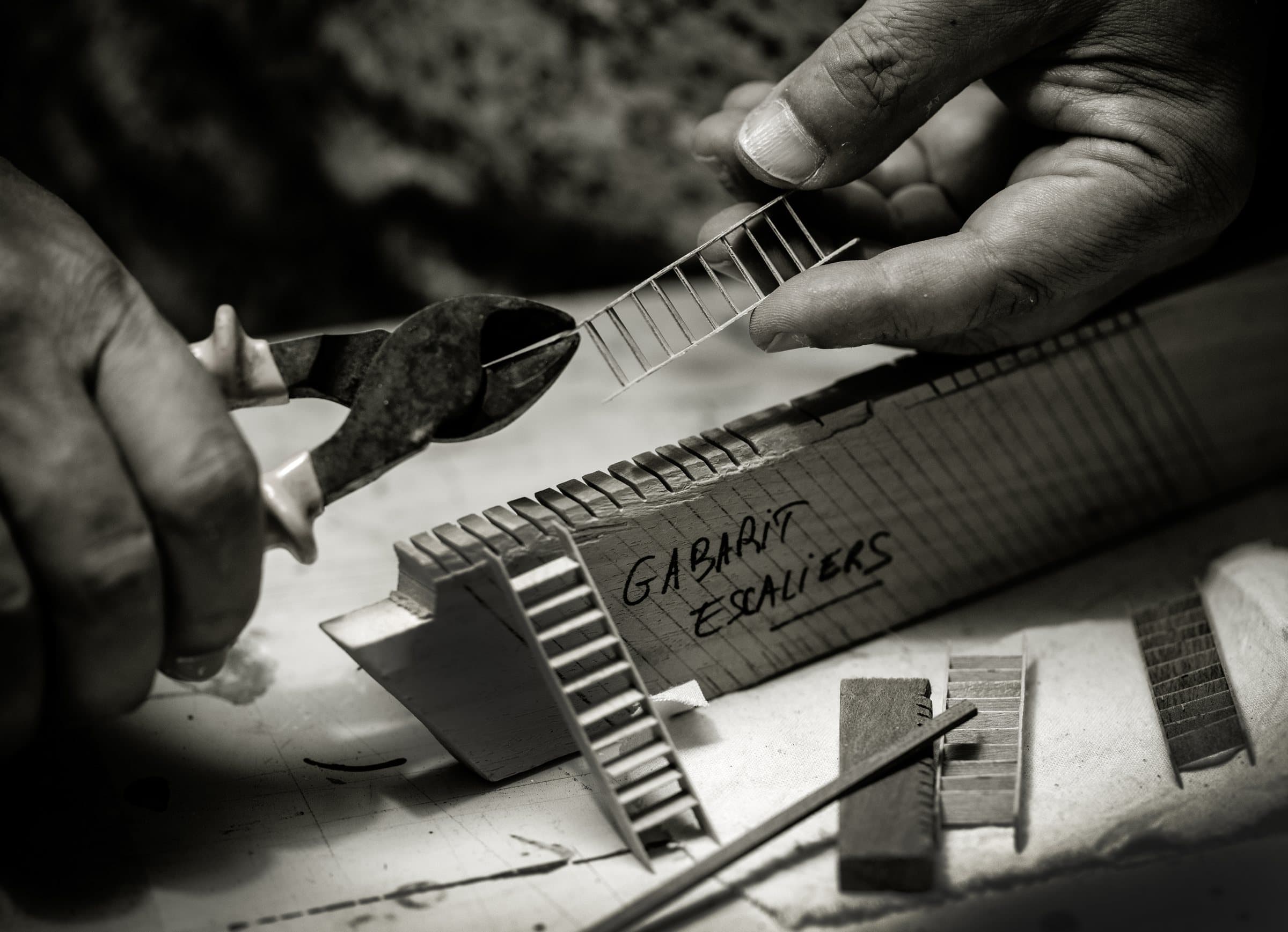 The hand, detail by detail