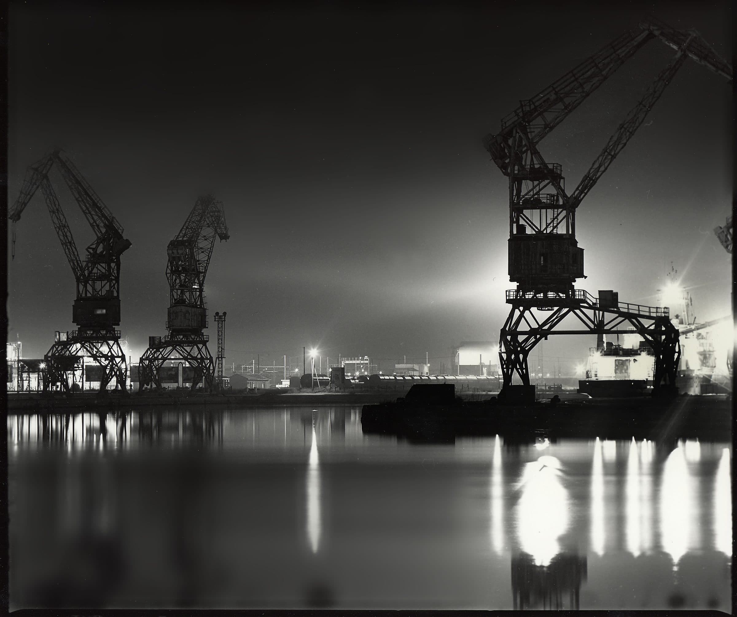 Grues, la nuit